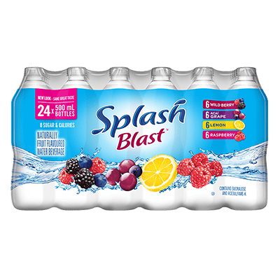 Splash Blast Variety 500 mL 24pack Bottles 